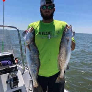 Meet your Posher, Mason